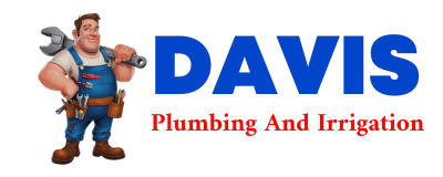 Trusted plumber in IRONSIDES